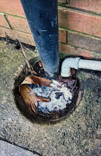 https://plumberinmelville.com.au/uploads/2025/06/blocked-drains-294506.jpg