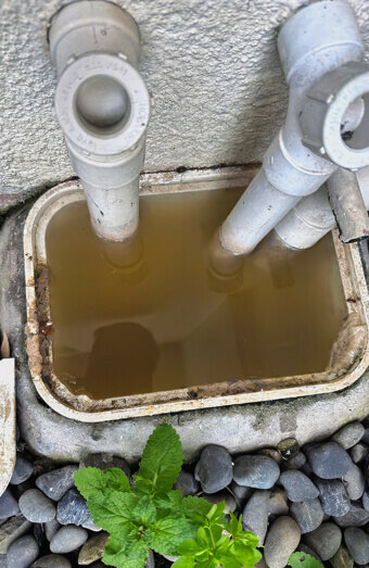 https://plumberinmelville.com.au/uploads/2025/06/blocked-drains-912576.jpg